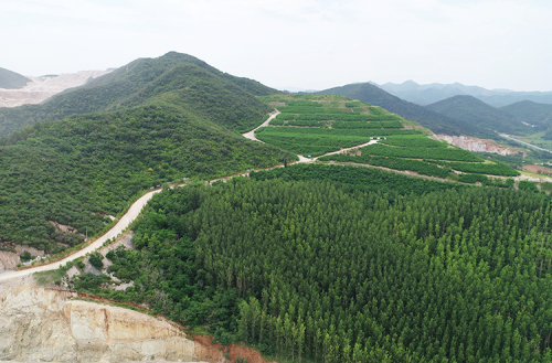 采礦	廠植被恢復(fù)區(qū)域